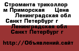 Строманта триколлор , м.Приморская . › Цена ­ 150 - Ленинградская обл., Санкт-Петербург г.  »    . Ленинградская обл.,Санкт-Петербург г.